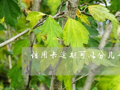 信用卡逾期可以分几年还吗 信用卡逾期可以分几年还吗