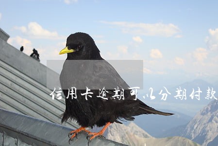 信用卡逾期可以分期付款车吗 信用卡逾期可以分期付款车吗
