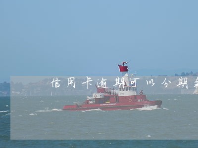 信用卡逾期可以分期卖房 信用卡逾期可以分期卖房