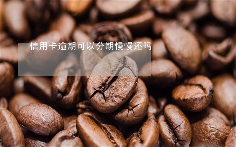 信用卡逾期可以分期慢慢还吗 信用卡逾期可以分期慢慢还吗