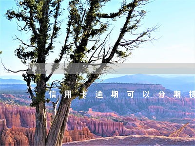 信用卡逾期可以分期捷信嘛