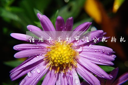 信用卡逾期可以分机购机吗 信用卡逾期可以分机购机吗