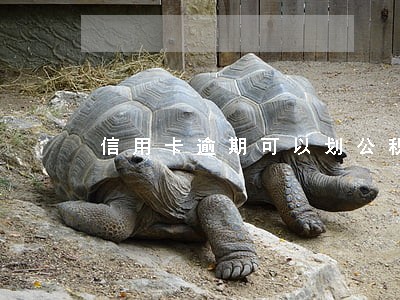 信用卡逾期可以划公积金吗 信用卡逾期可以划公积金吗