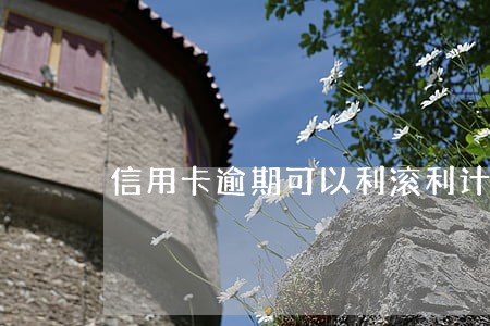 信用卡逾期可以利滚利计算吗
