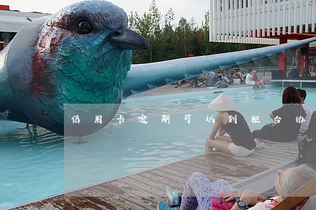 信用卡逾期可以到柜台协商吗 信用卡逾期可以到柜台协商吗