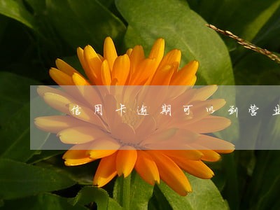 信用卡逾期可以到营业厅去协商吗 信用卡逾期可以到营业厅去协商吗