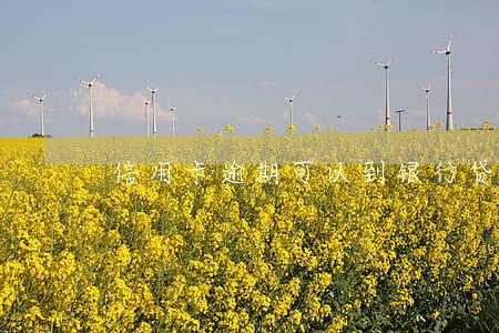 信用卡逾期可以到银行贷款嘛 信用卡逾期可以到银行贷款嘛