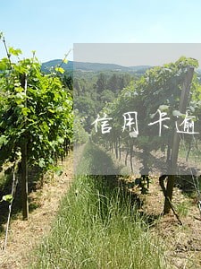 信用卡逾期可以刷出来吗 信用卡逾期可以刷出来吗