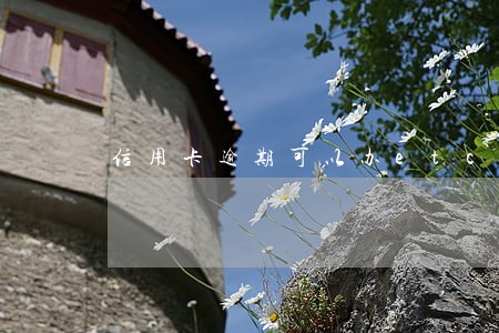信用卡逾期可以办etc吗 信用卡逾期可以办etc吗