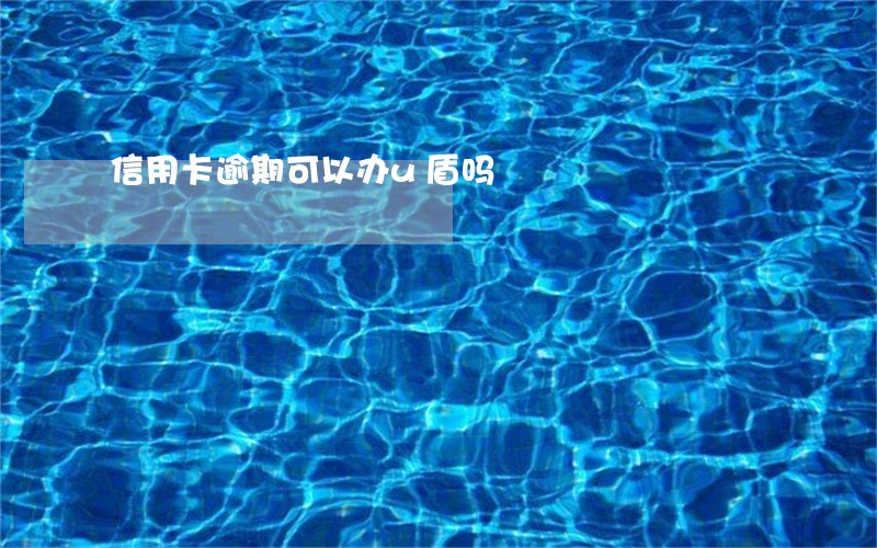 信用卡逾期可以办u盾吗