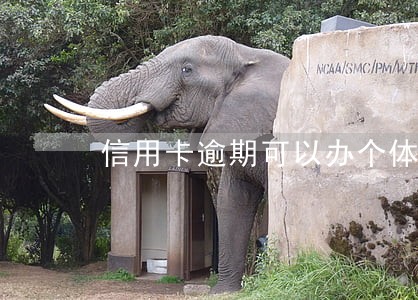 信用卡逾期可以办个体营业执照 信用卡逾期可以办个体营业执照