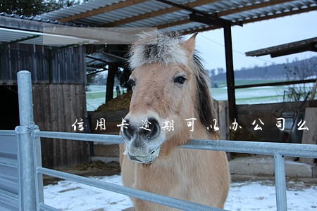 信用卡逾期可以办公司么