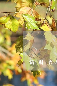 信用卡逾期可以办分期付款吗