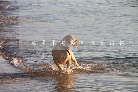 信用卡逾期可以办同银行卡吗 信用卡逾期可以办同银行卡吗