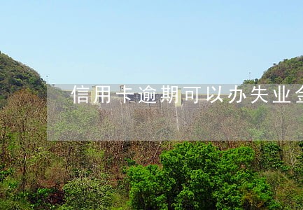 信用卡逾期可以办失业金吗 信用卡逾期可以办失业金吗