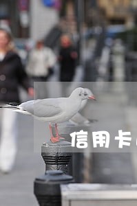 信用卡逾期可以办宜人贷吗