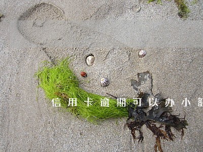 信用卡逾期可以办小额贷款证不 信用卡逾期可以办小额贷款证不