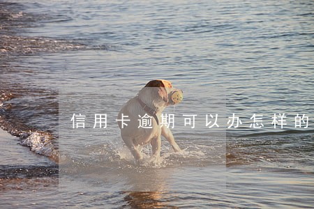 信用卡逾期可以办怎样的分期 信用卡逾期可以办怎样的分期