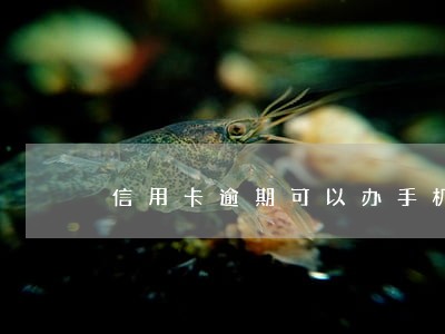 信用卡逾期可以办手机卡不 信用卡逾期可以办手机卡不