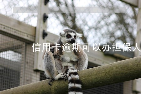 信用卡逾期可以办担保人吗 信用卡逾期可以办担保人吗