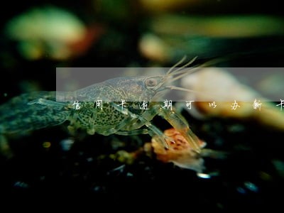 信用卡逾期可以办新卡吗 信用卡逾期可以办新卡吗