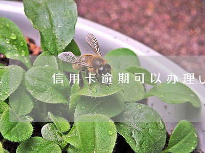 信用卡逾期可以办理U盾吗 信用卡逾期可以办理U盾吗