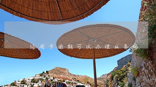 信用卡逾期可以办理业务吗 信用卡逾期可以办理业务吗