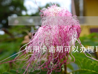 信用卡逾期可以办理取公积金吗 信用卡逾期可以办理取公积金吗