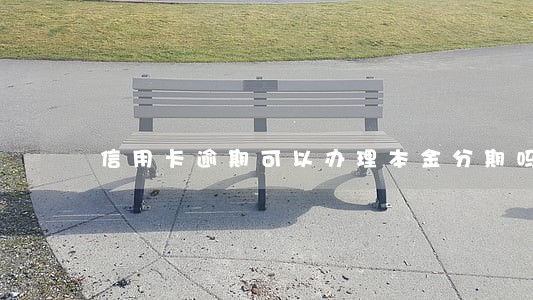 信用卡逾期可以办理本金分期吗