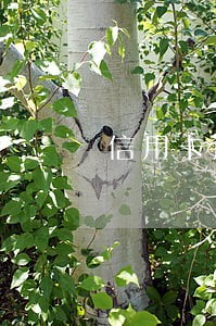 信用卡逾期可以办理身份证么