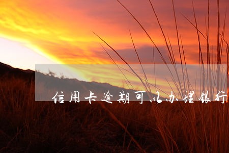 信用卡逾期可以办理银行卡不 信用卡逾期可以办理银行卡不