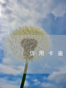信用卡逾期可以办理高炮吗