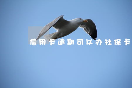 信用卡逾期可以办社保卡