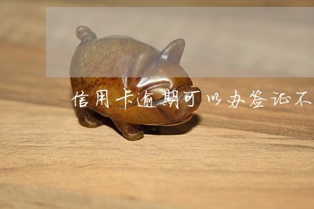 信用卡逾期可以办签证不 信用卡逾期可以办签证不