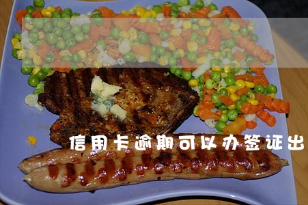 信用卡逾期可以办签证出国