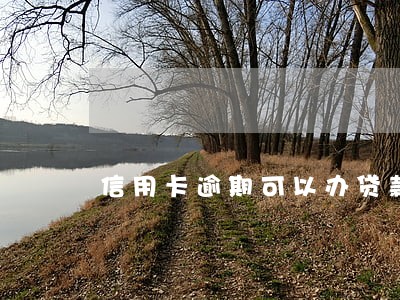 信用卡逾期可以办贷款 信用卡逾期可以办贷款
