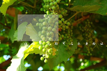 信用卡逾期可以办身份证吗6 信用卡逾期可以办身份证吗6