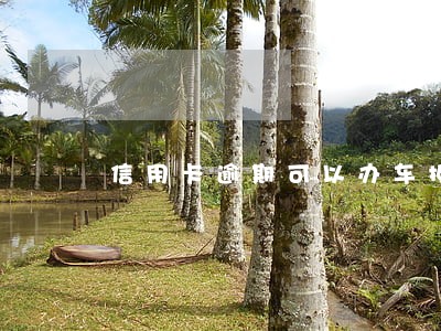 信用卡逾期可以办车抵贷吗 信用卡逾期可以办车抵贷吗