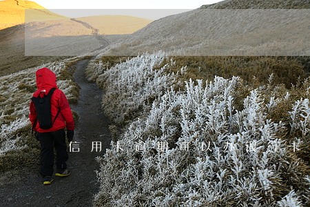 信用卡逾期可以办银行卡么 信用卡逾期可以办银行卡么