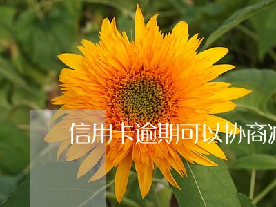信用卡逾期可以协商减息吗 信用卡逾期可以协商减息吗