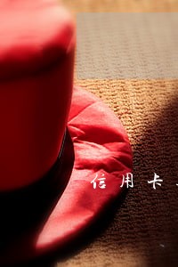 信用卡逾期可以协商宽限吗 信用卡逾期可以协商宽限吗