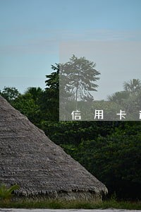 信用卡逾期可以协商无息还款吗 信用卡逾期可以协商无息还款吗