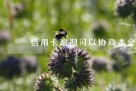 信用卡逾期可以协商本金分期吗 信用卡逾期可以协商本金分期吗