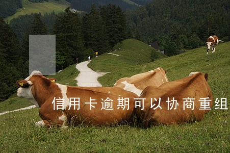 信用卡逾期可以协商重组分期 信用卡逾期可以协商重组分期