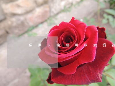 信用卡逾期可以卖贷款房吗 信用卡逾期可以卖贷款房吗