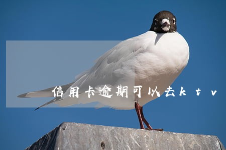 信用卡逾期可以去ktv吗 信用卡逾期可以去ktv吗