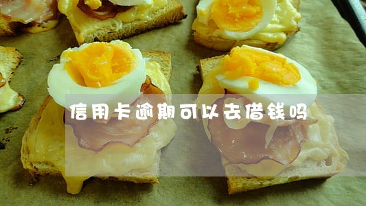 信用卡逾期可以去借钱吗 信用卡逾期可以去借钱吗
