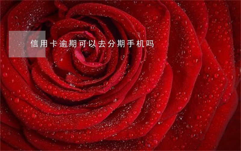 信用卡逾期可以去分期手机吗 信用卡逾期可以去分期手机吗