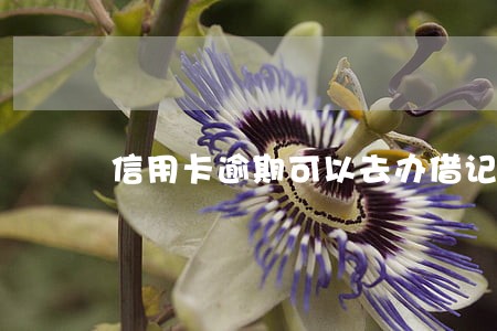 信用卡逾期可以去办借记卡吗 信用卡逾期可以去办借记卡吗