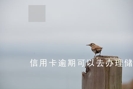 信用卡逾期可以去办理储蓄卡吗 信用卡逾期可以去办理储蓄卡吗